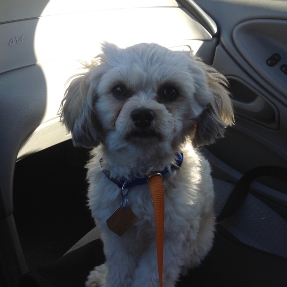 Jackie ♥️🎨💄♍️ ~ Posh Ambassador - Picture 12 of 14